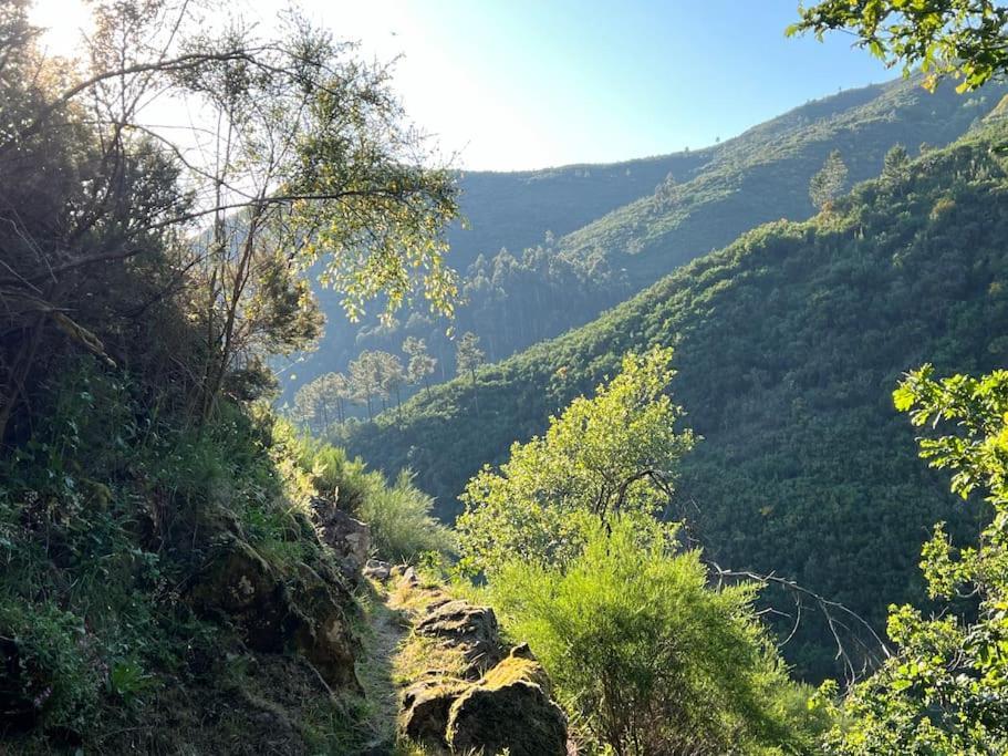 Casinha Do Sol - Natureza & Lazer - Serra Da Freita Arouca Dış mekan fotoğraf
