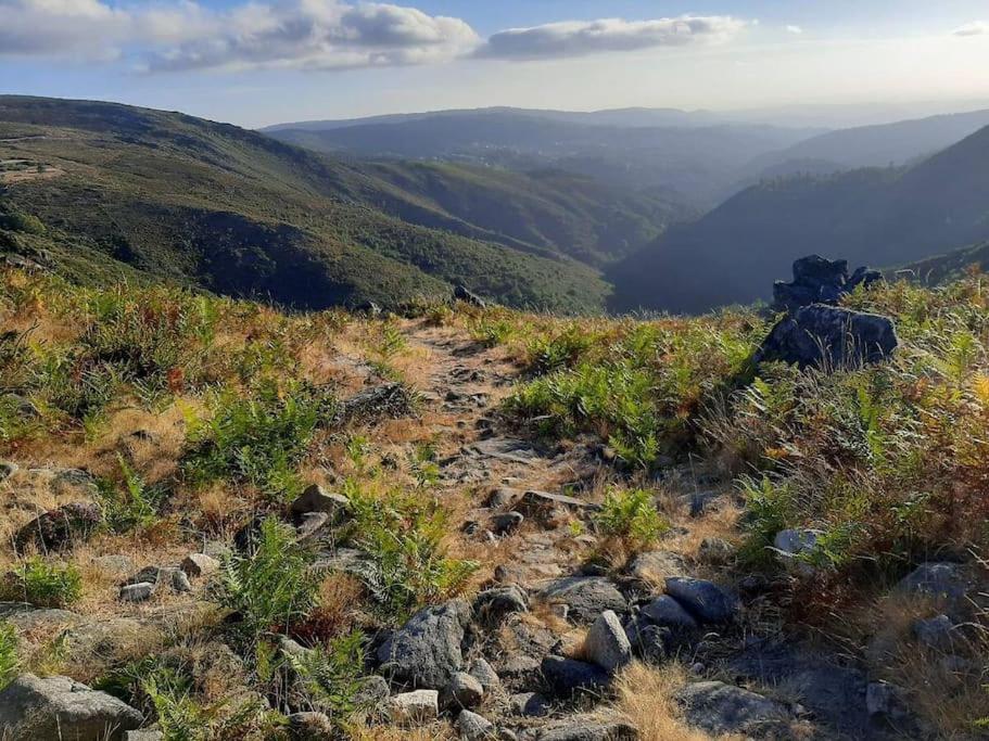 Casinha Do Sol - Natureza & Lazer - Serra Da Freita Arouca Dış mekan fotoğraf