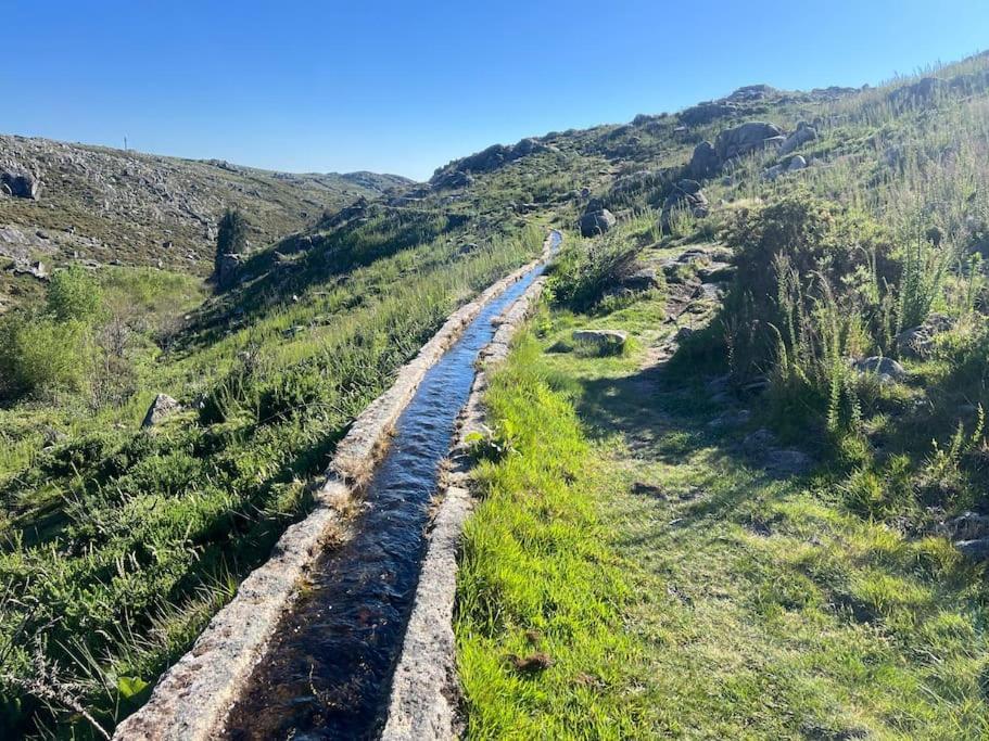 Casinha Do Sol - Natureza & Lazer - Serra Da Freita Arouca Dış mekan fotoğraf