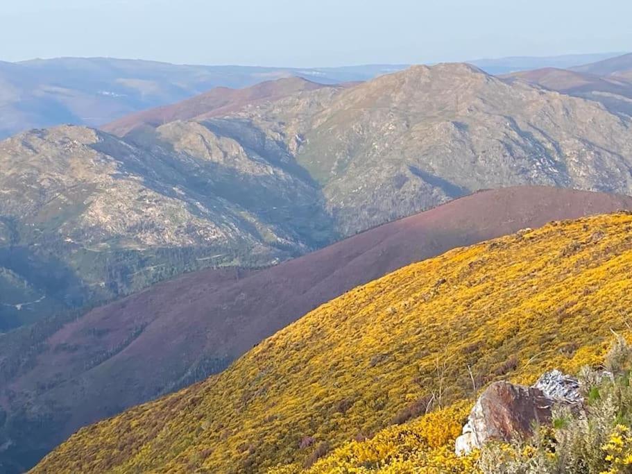 Casinha Do Sol - Natureza & Lazer - Serra Da Freita Arouca Dış mekan fotoğraf