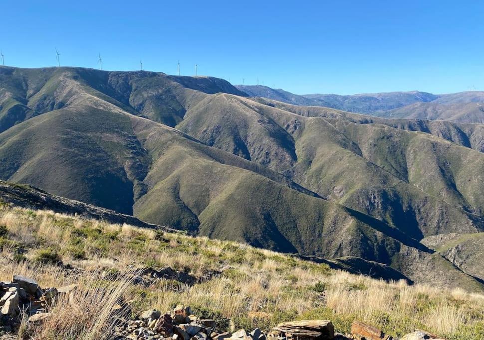 Casinha Do Sol - Natureza & Lazer - Serra Da Freita Arouca Dış mekan fotoğraf