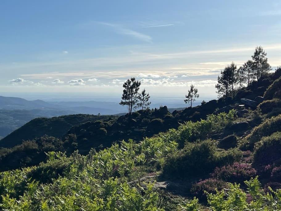 Casinha Do Sol - Natureza & Lazer - Serra Da Freita Arouca Dış mekan fotoğraf
