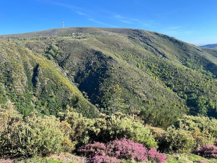 Casinha Do Sol - Natureza & Lazer - Serra Da Freita Arouca Dış mekan fotoğraf